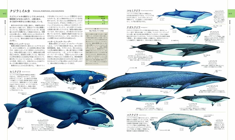 Amazon.co.jp: 地球博物学大図鑑 : スミソニアン協会